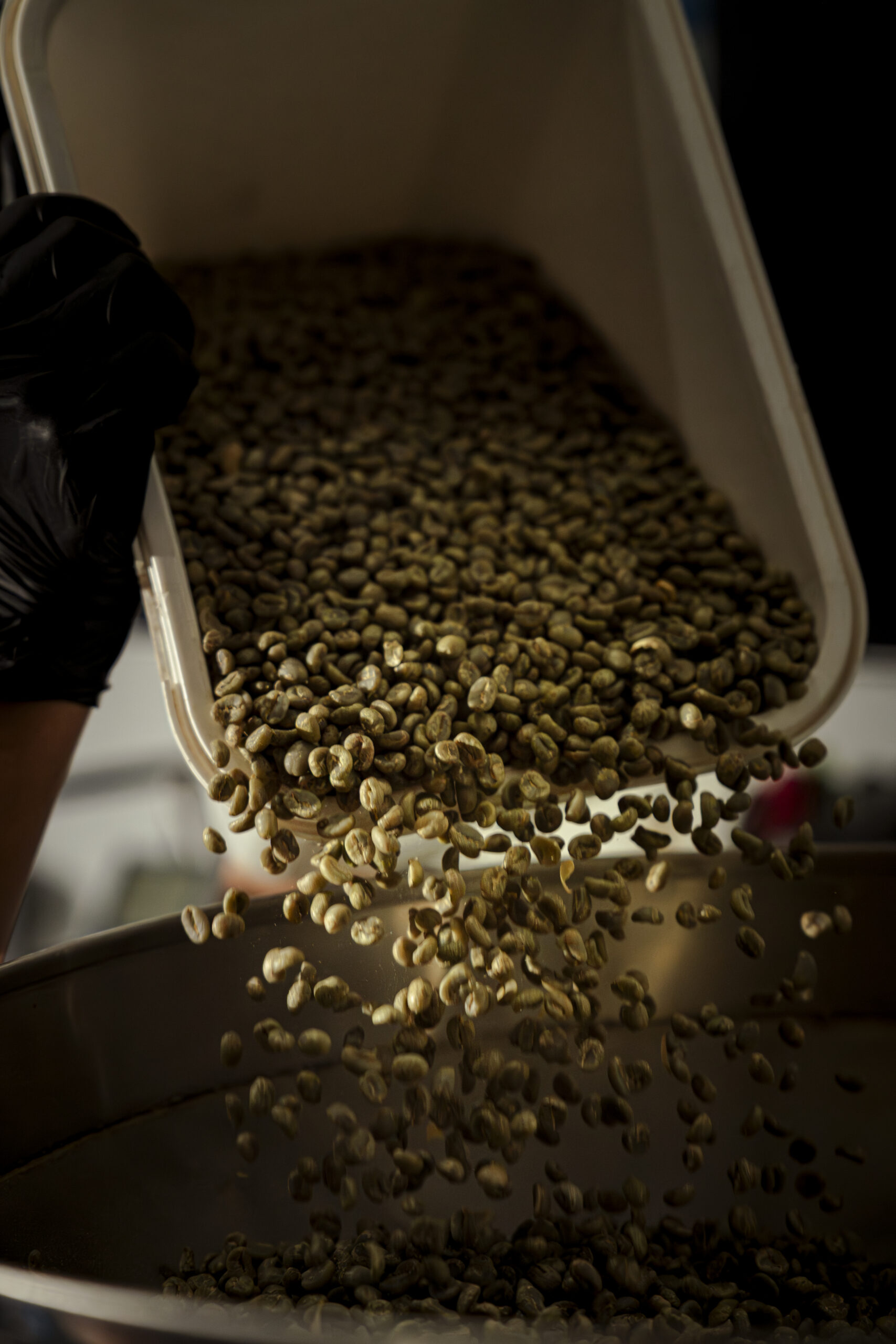 Bali Origins - Gallery (5)