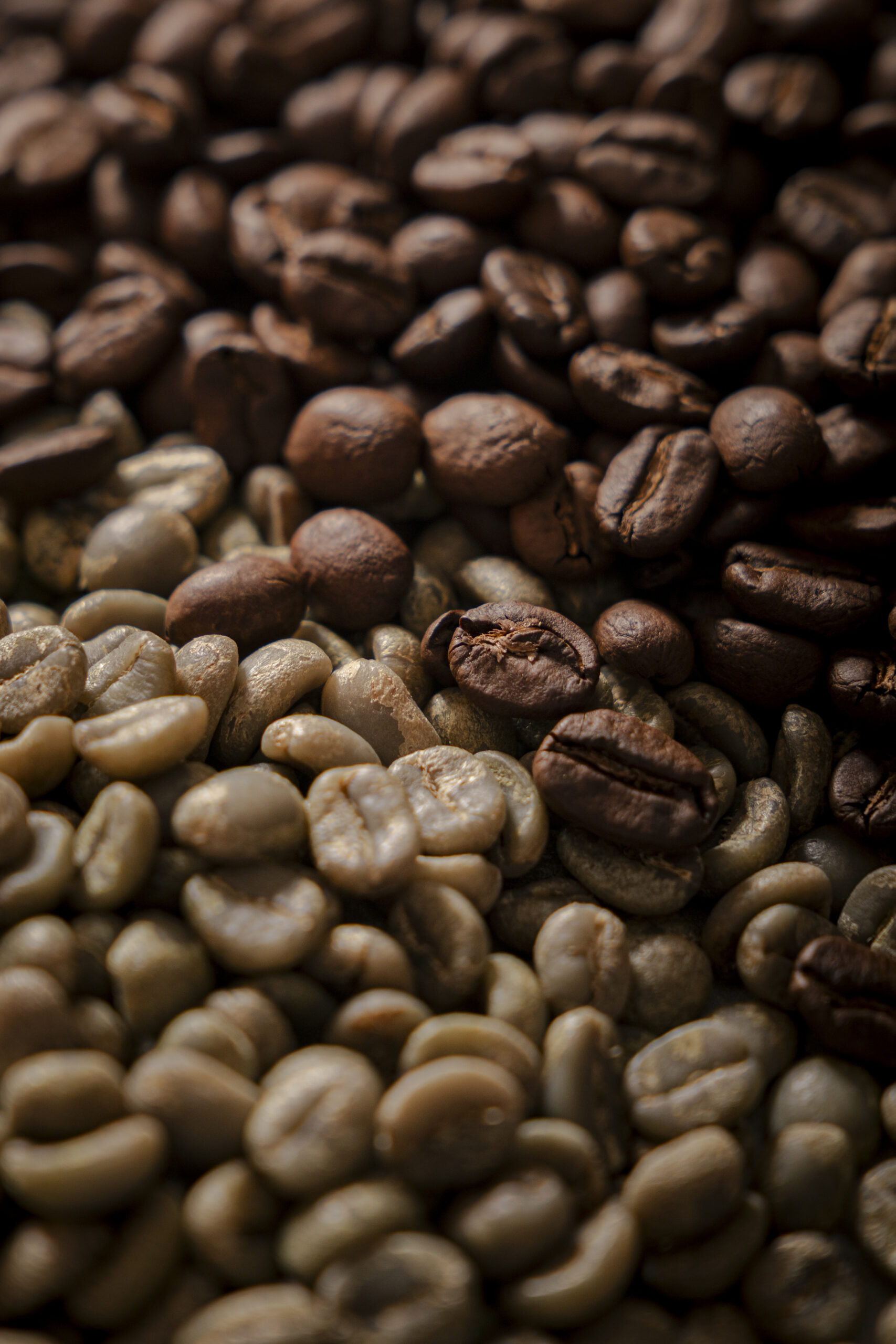 Bali Origins - Gallery (6)