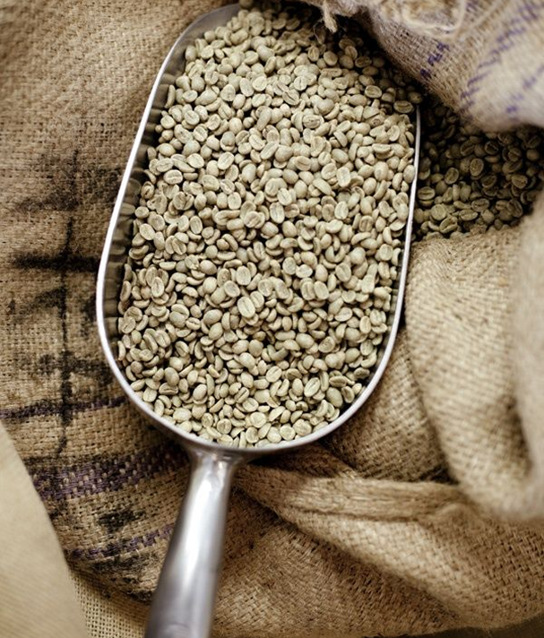 Green Beans : Bali Origins