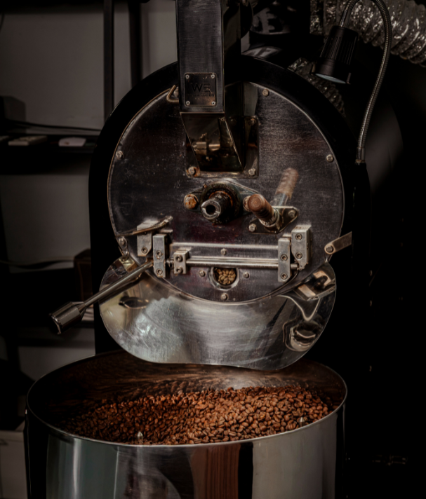 BO Exporters Wholesale - Bali Origins