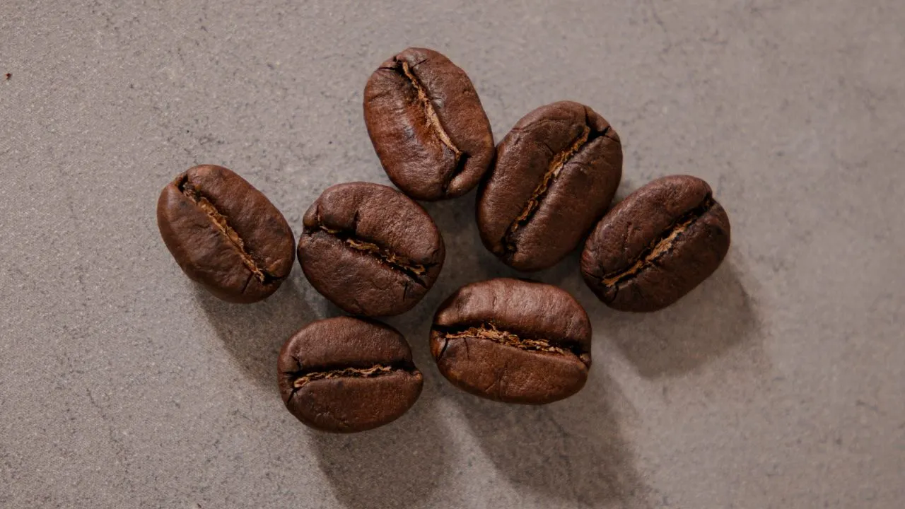 Roasted Arabica and Robusta coffee beans displayed at Bali Origins, showing visual differences in roast tone and surface texture.