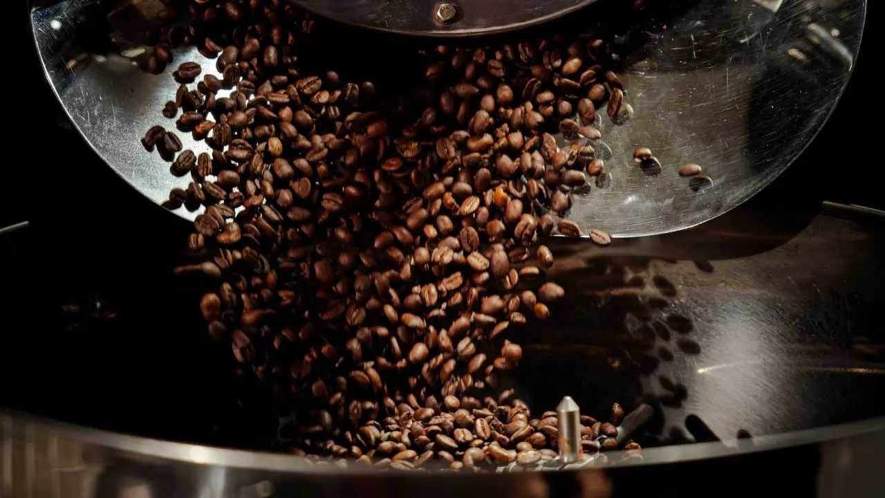 Roasted Robusta coffee beans released from a roasting drum at Bali Origins, highlighting consistent roast and batch control.