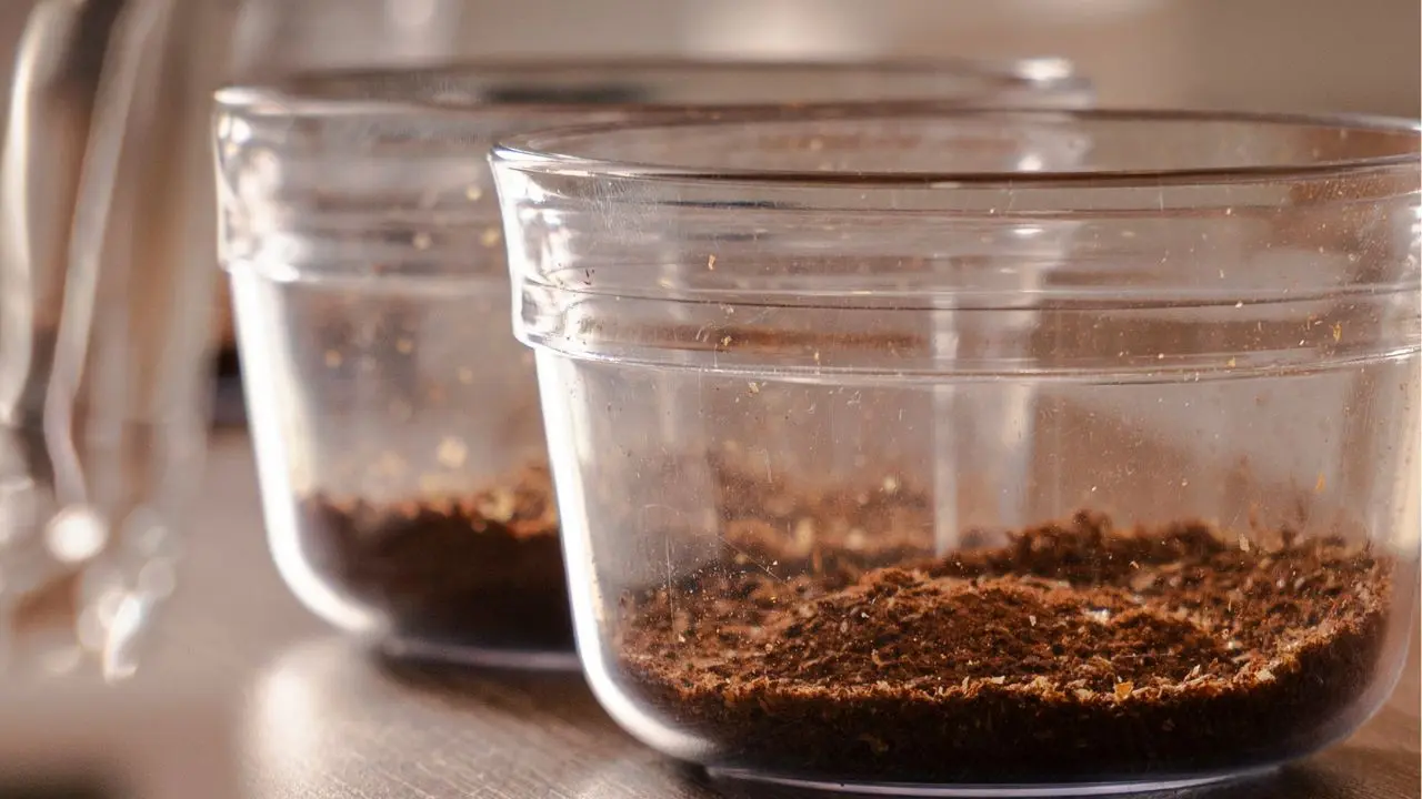 what is arabica coffee taste like