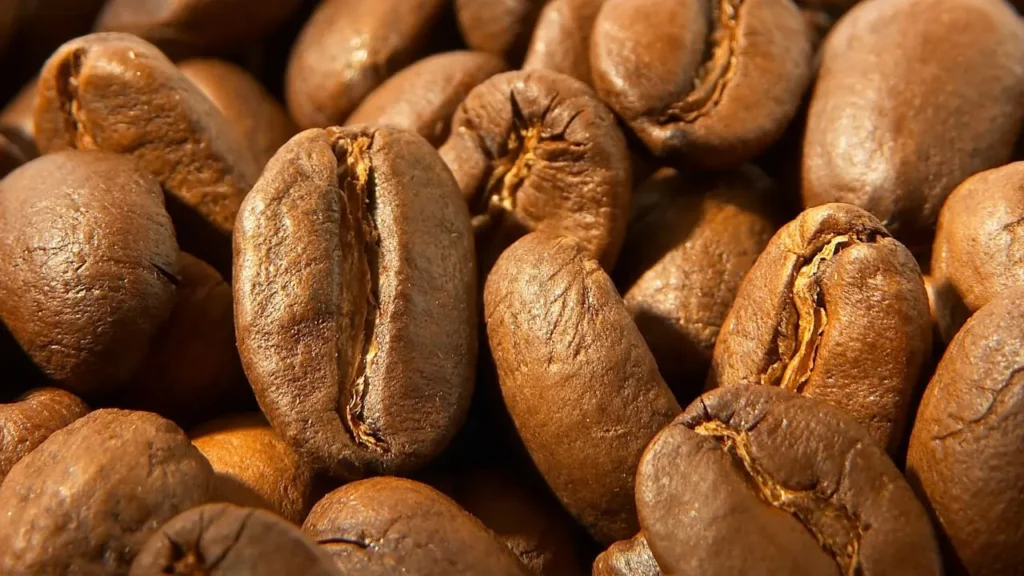 Close-up of Bali Arabica coffee beans processed with strict quality control, highlighting consistency, roast quality, and premium bean selection.