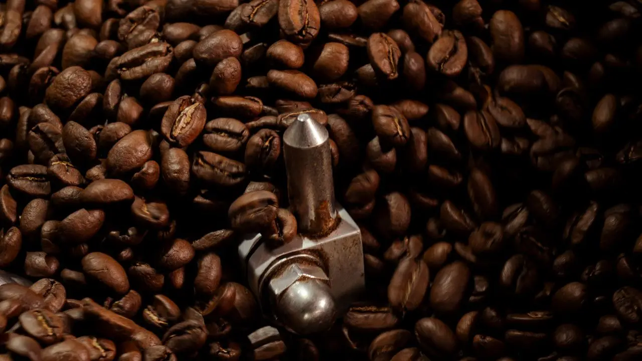 Arabica Coffee vs Robusta Coffee