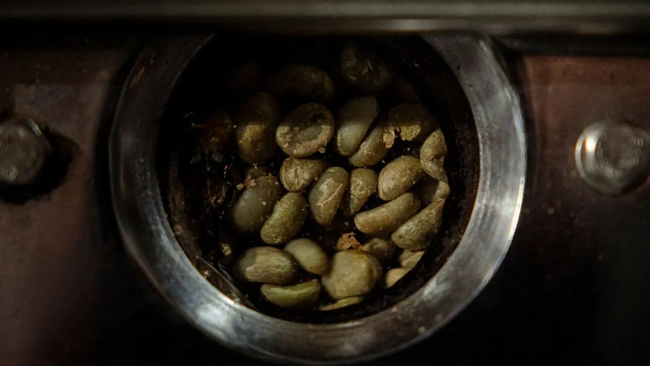 Green coffee beans inside the roasting chamber at Bali Origins, highlighting careful preparation and quality-focused processing.