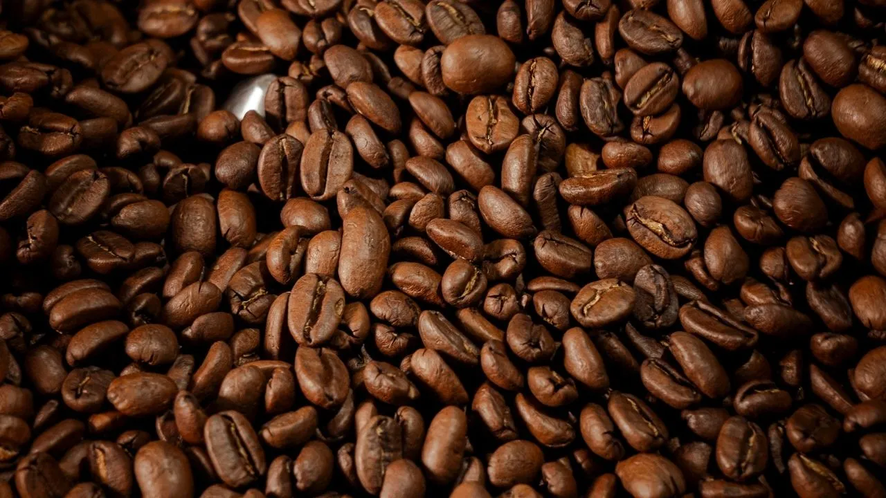 Roasted coffee beans prepared under controlled conditions in Bali, showing uniform roast quality and clean surface texture.