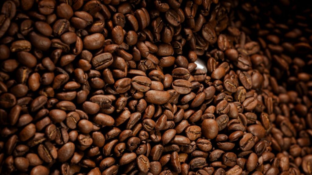 Roasted coffee Indonesia beans displayed in bulk, showing uniform roast color and surface texture for quality evaluation.
