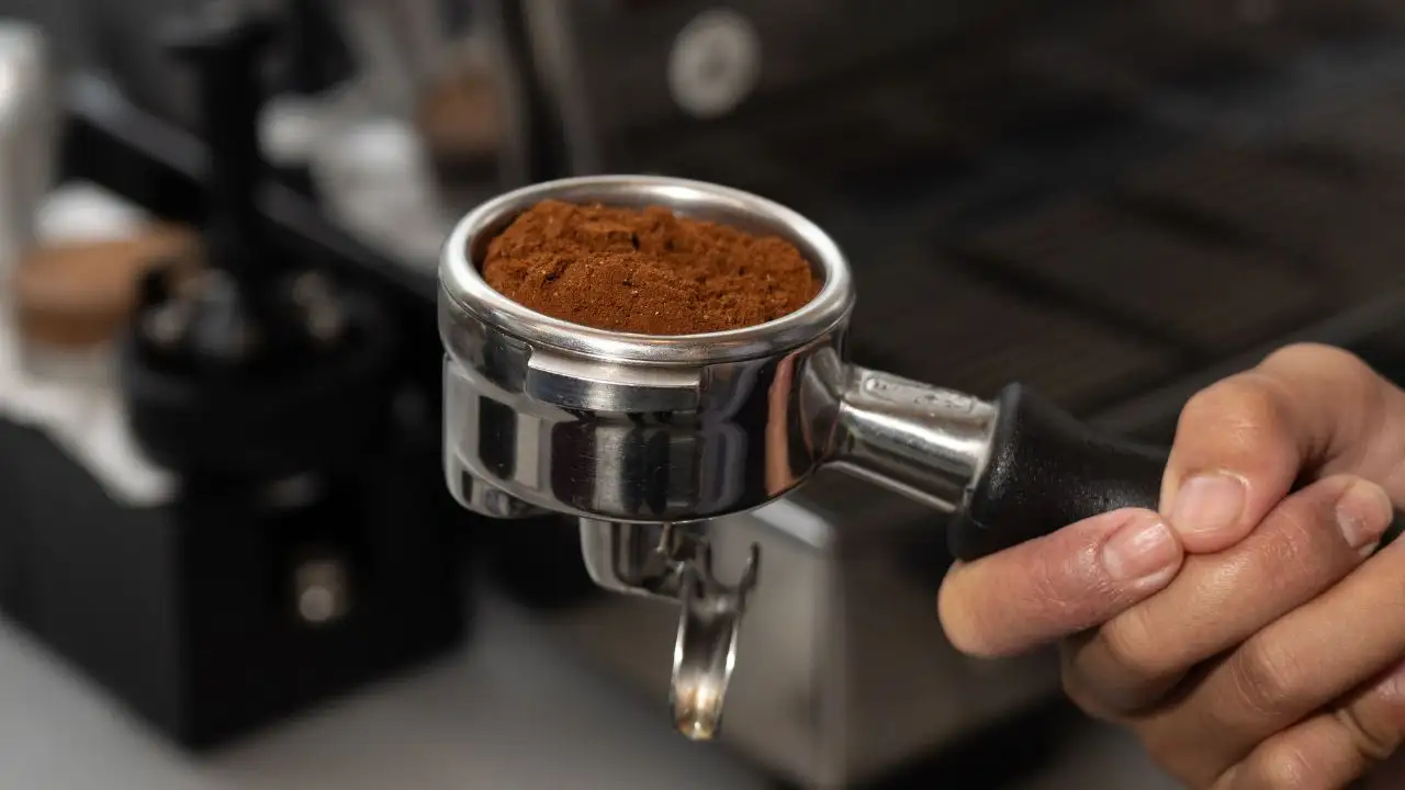 Indonesian coffee brewed for evaluation, supporting origin comparison for commercial buyers.