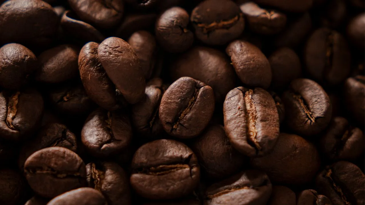 Close-up of roasted coffee beans highlighting structure and roast development consistency