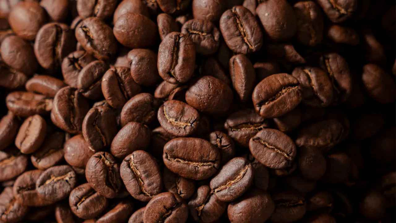 Roasted coffee beans with even color and surface texture, reflecting controlled roasting quality of coffee production indonesia