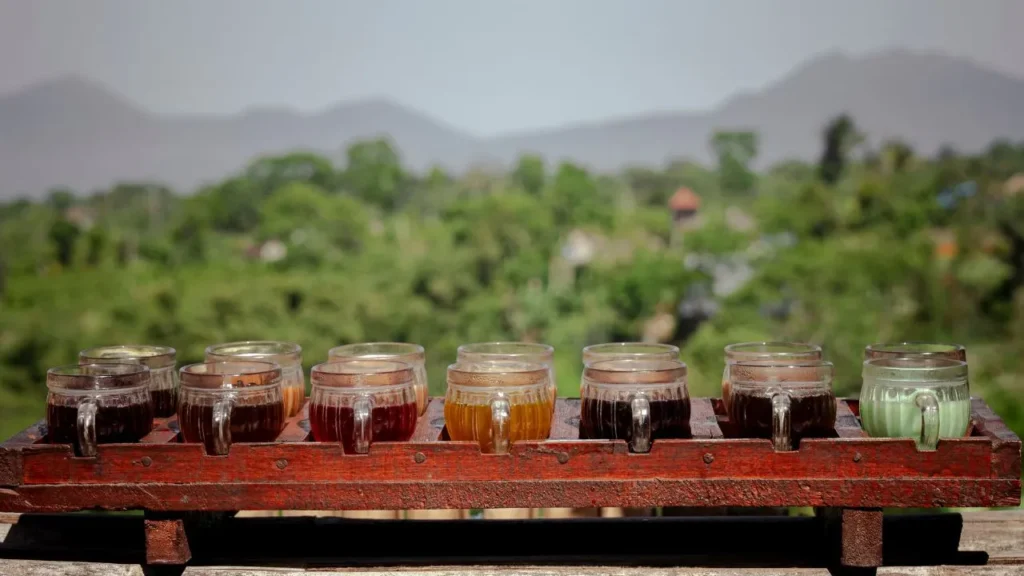 Indonesian coffee cupping session showcasing flavor profile evaluation across different origins