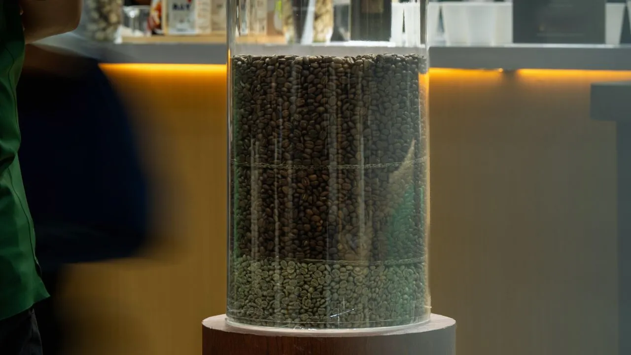 Coffee beans on display at the Bali Origins booth highlighting green and roasted Indonesian coffee selections at World of Coffee Bangkok.