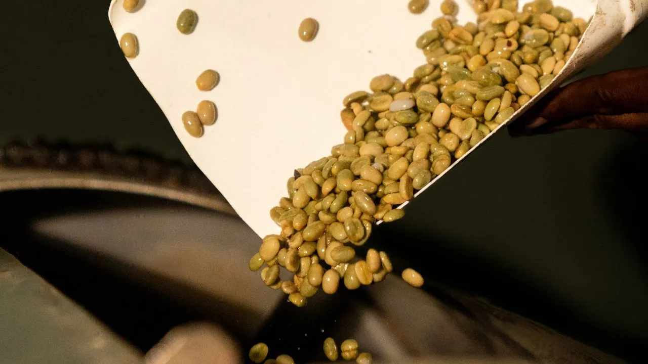 Why the Right Moisture Range Matters