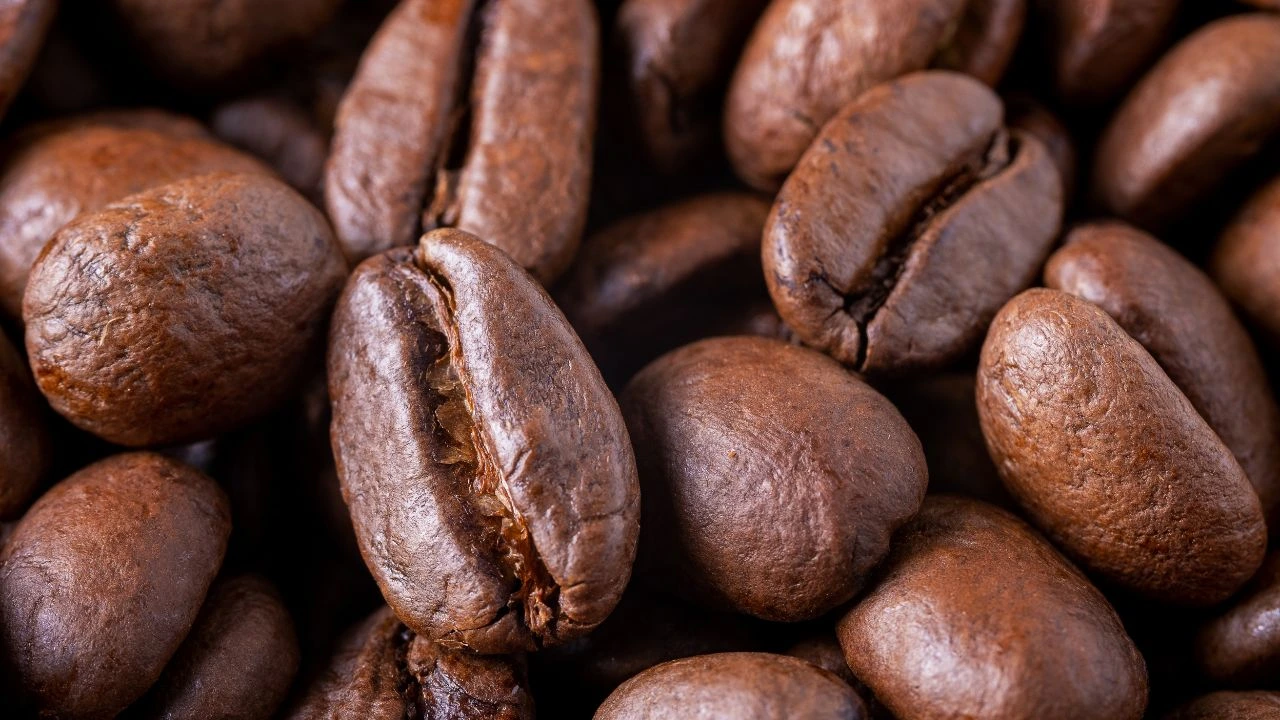 Close-up of roasted coffee beans highlighting structure and roast development consistency