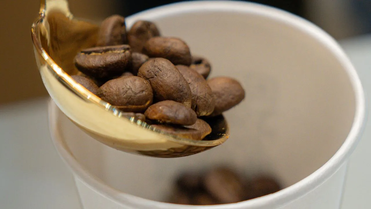 Roasted coffee beans prepared for brewing and quality assessment