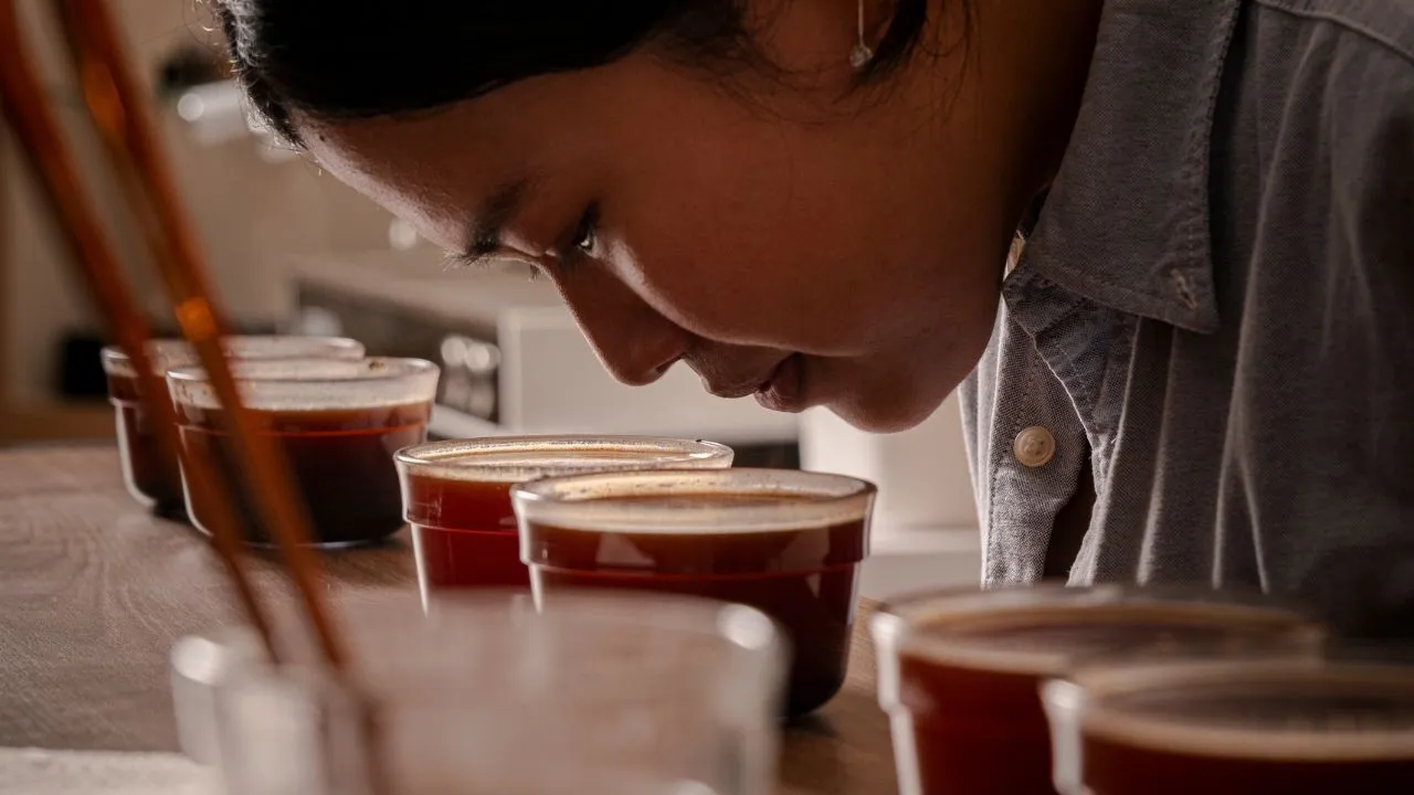 Coffee cupping session for evaluating coffee aroma and flavor