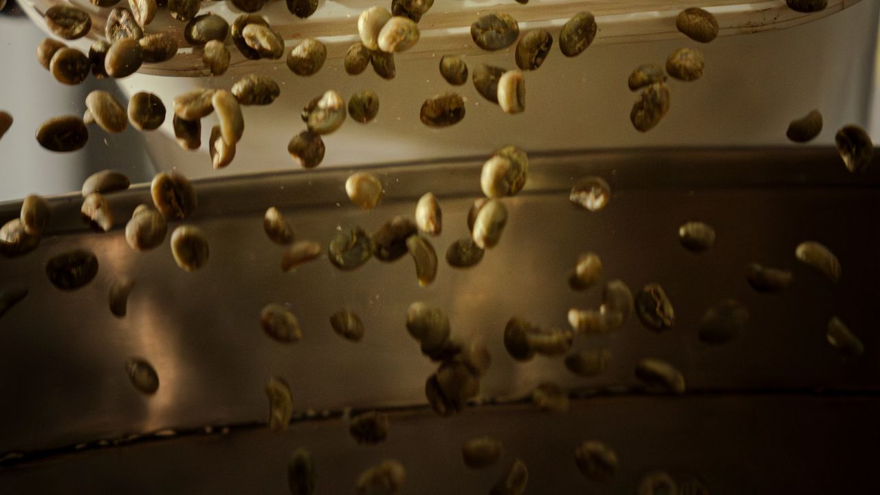 Green coffee packaging with green coffee beans prepared for storage
