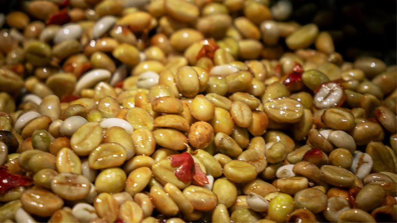 Coffee processing – Close-up of wet coffee beans during processing, showing variations in color and surface texture.