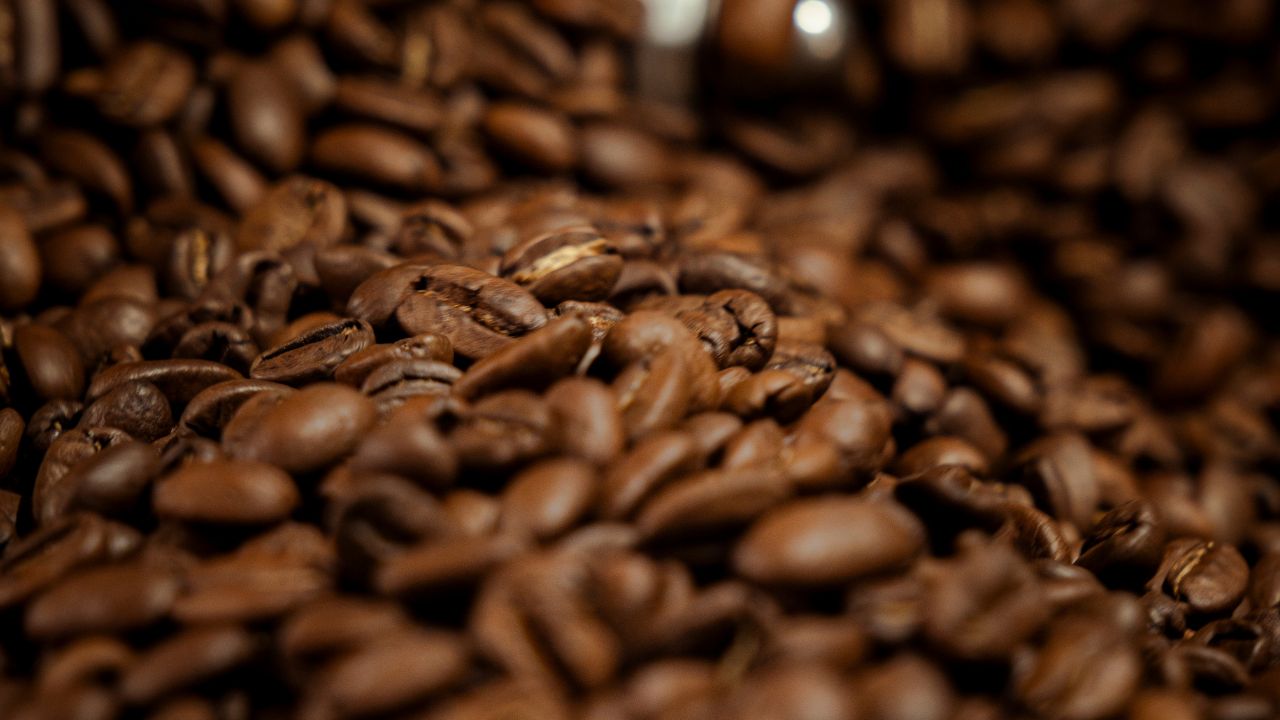 Close-up of roasted coffee beans match with wholesale roasted coffee requirement.