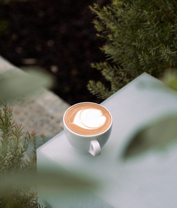 BO - Wholesale - New Images