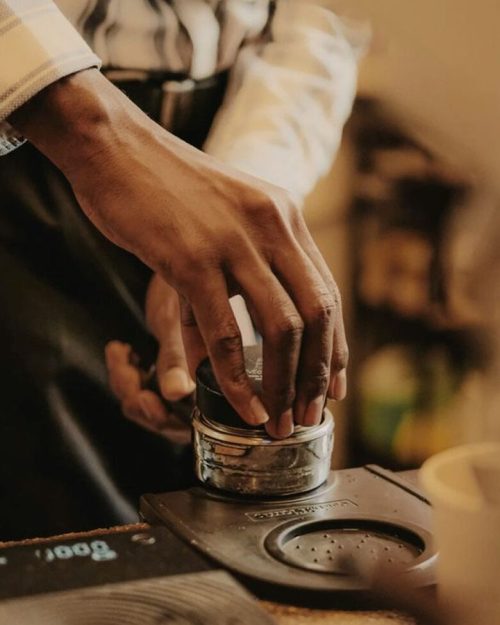 Bali Origins - Image - 1