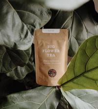 Bali Origins - New Image (2)